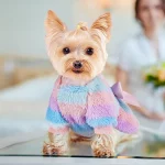 Rainbow Winter Yorkie Dress - Image 4