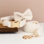 Teddy Dream Yorkie Collar - Image 16