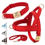 No-Pull Yorkie Harness & Collar