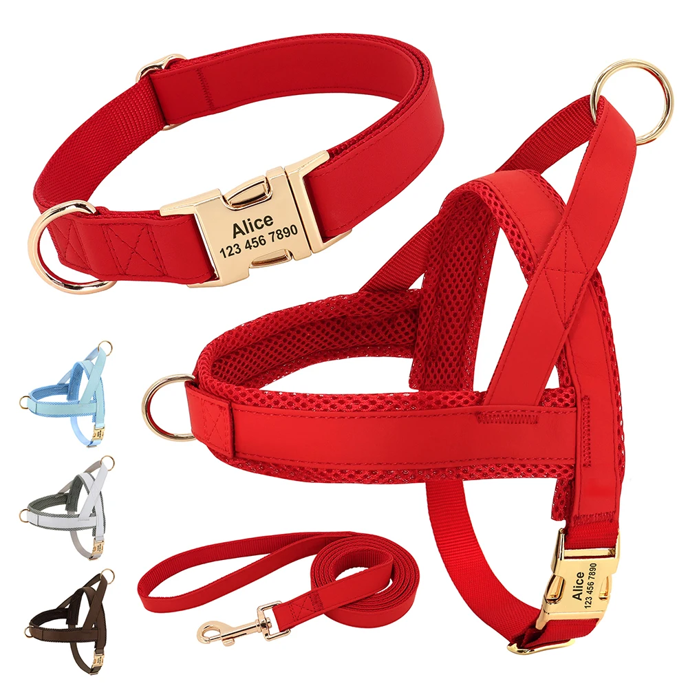 Sbbfafdb2bdd546f79e04f4102188eb7dw.webp No-Pull Yorkie Harness & Collar - Image 1