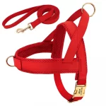 No-Pull Yorkie Harness & Collar - Image 8