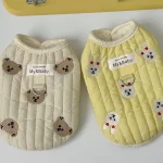 Padded Teddy Yorkie Vest