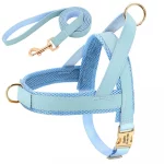 No-Pull Yorkie Harness & Collar - Image 12