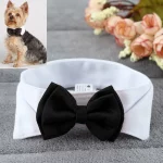 Elegant Yorkie Necktie - Image 7