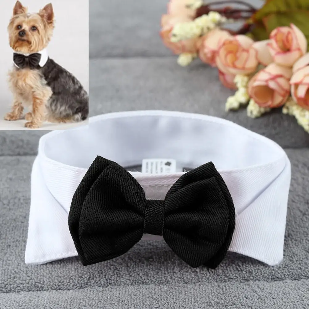 elegant-yorkie-necktie elegant yorkie necktie