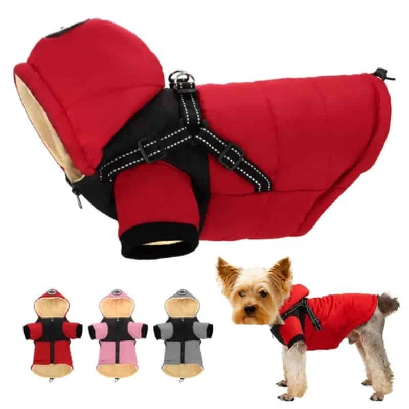 yorkie-winter-harness-jacket Yorkie Winter Harness Jacket