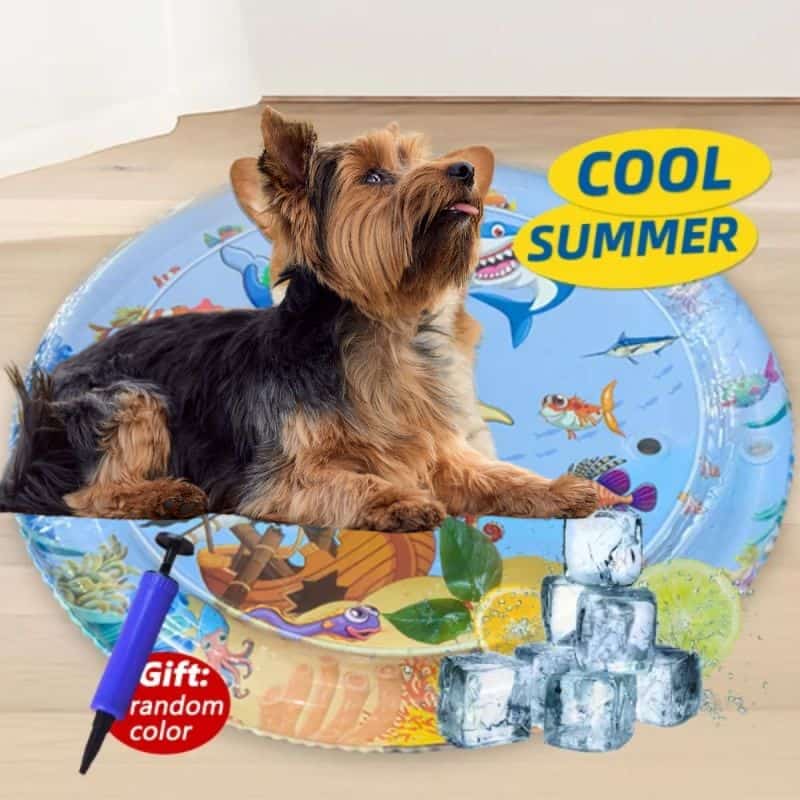 heatstroke in yorkies