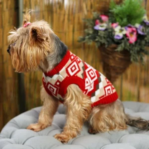 Cozy Aztec Yorkie Sweater
