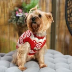 Yorkies Gram Cozy Aztec Yorkie Sweater