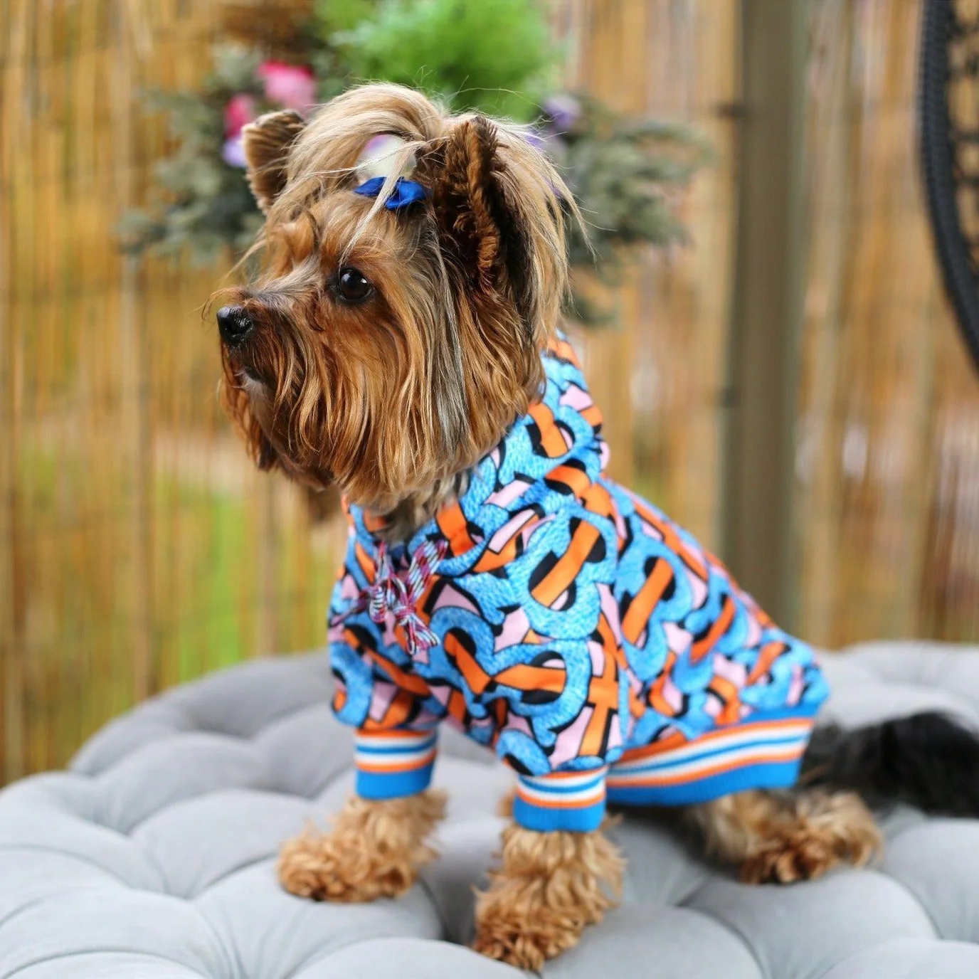 candy-chain-yorkie-hoodie-1 Yorkies Gram Candy Chain Yorkie Hoodie