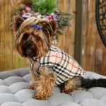 Designer Yorkie Vest Jacket
