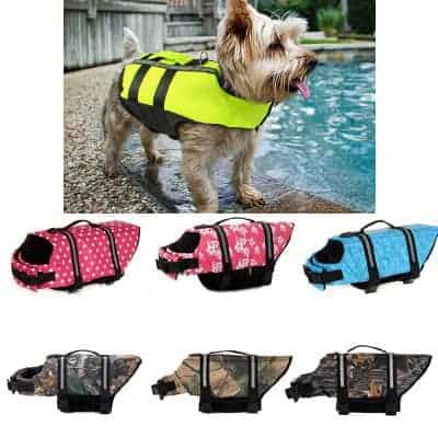 yorkie life jacket yorkies gram