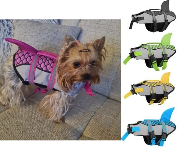 yorkie life jacket yorkies gram