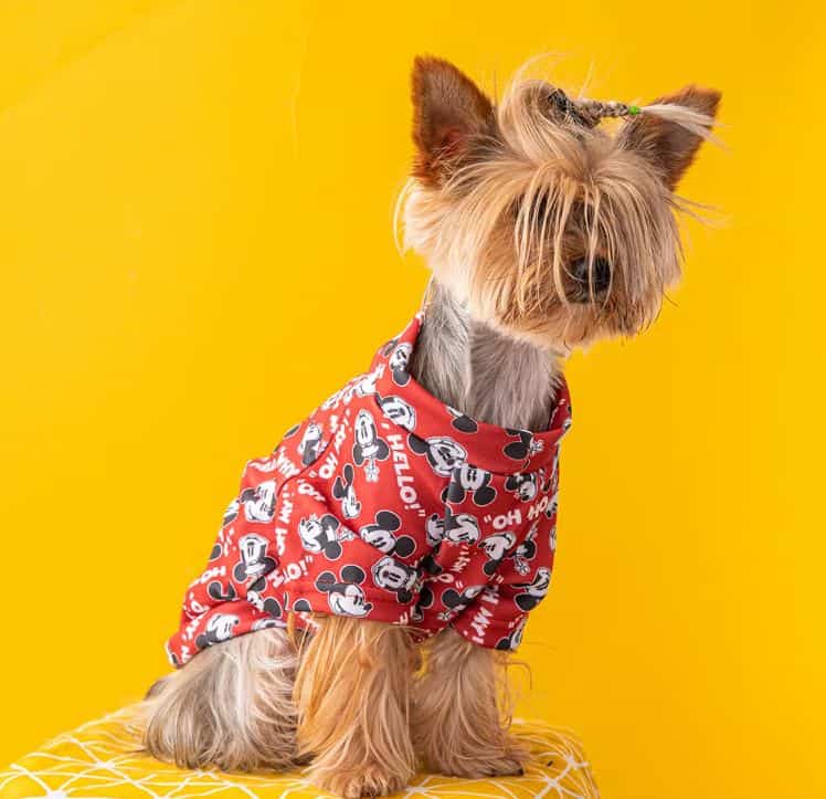 mm yorkie sweatshirt 1 mm yorkie sweatshirt