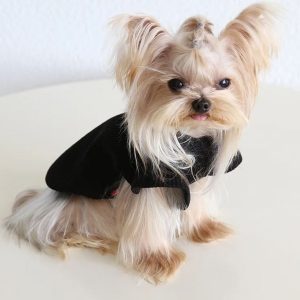 ribbed yorkie shirt