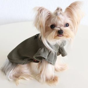 ribbed yorkie shirt