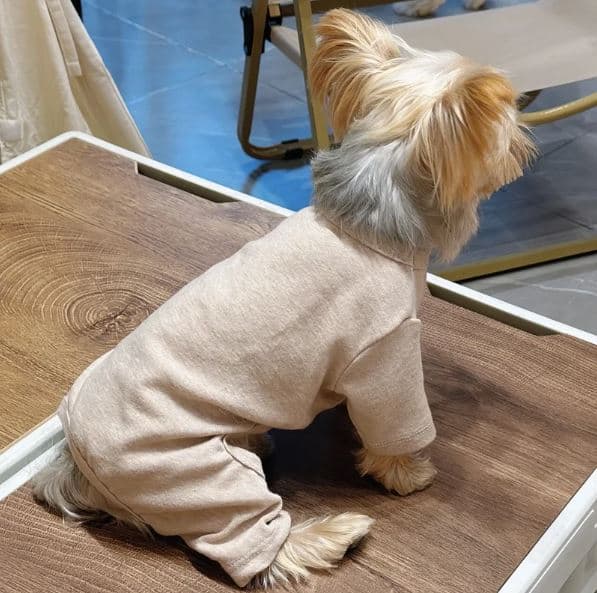 soft yorkie pajama 2 soft yorkie pajama