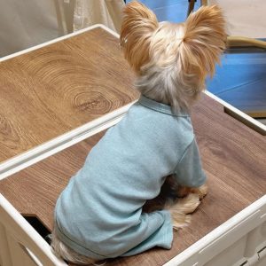 soft yorkie pajama