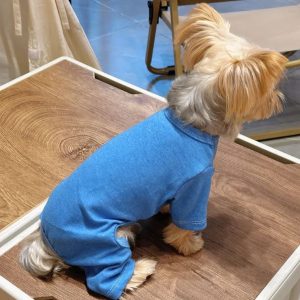 soft yorkie pajama