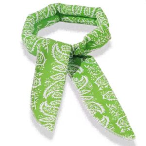 yorkie cooling scarf 1