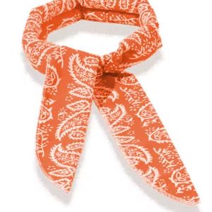 yorkie cooling scarf 1