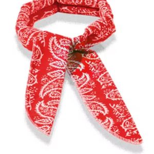 yorkie cooling scarf 1