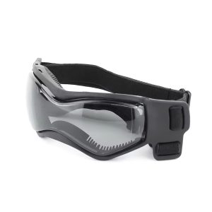 yorkie goggles yorkies gram