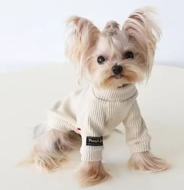 yorkie knit sweater yorkie knit sweater