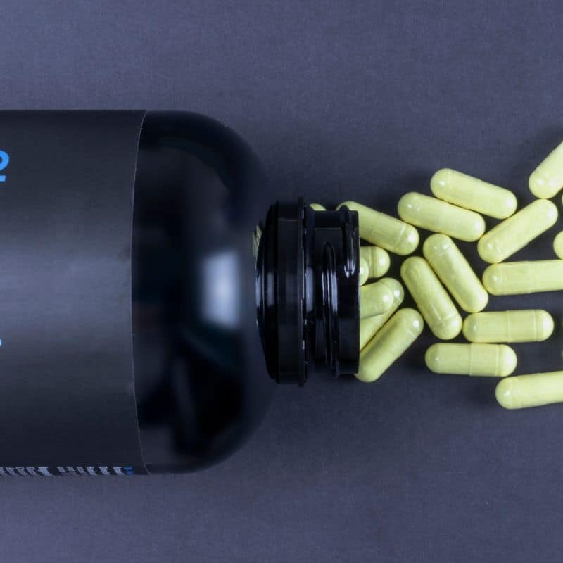 supplements for yorkies yorkies gram