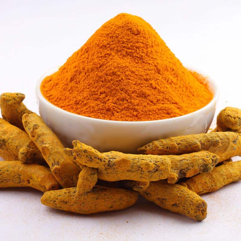 turmeric yorkie supplements