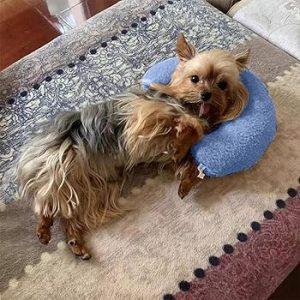 yorkies gram anxiety yorkie pillow