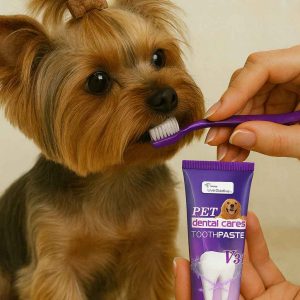 Yorkshire Terrier Toothpaste yorkie care products