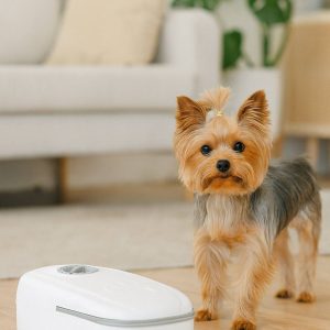 yorkie automatic feeding bowl