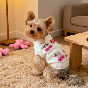 cherry lady yorkie sweater teacup yorkie clothes