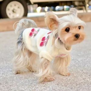 cherry lady yorkie sweater 1