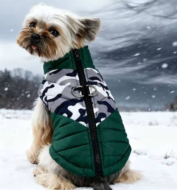 camo yorkie harness vest camo yorkie harness vest 21