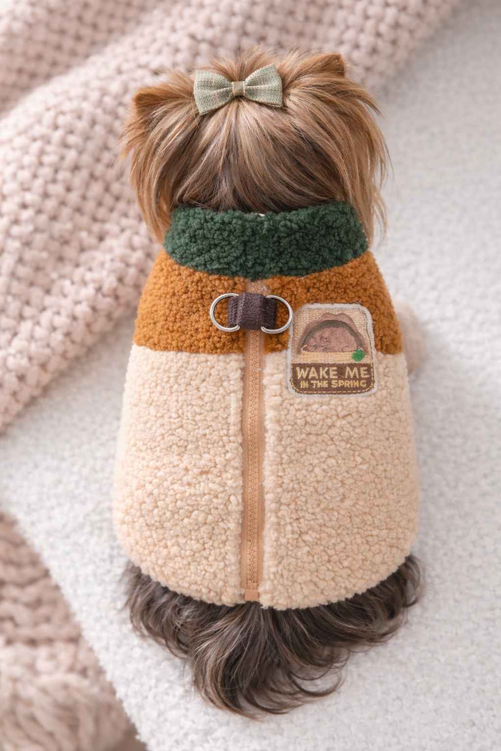 yorkie_vest_teddy yorkies gram teddy yorkie harness vest