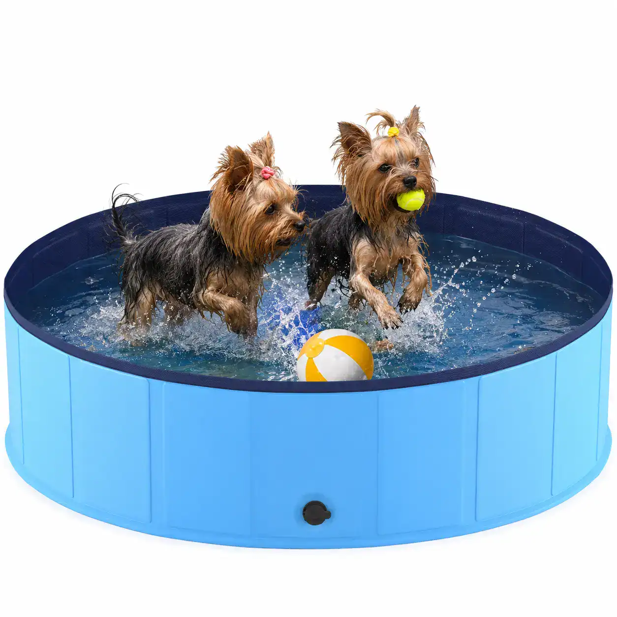 yorkie-swimming-pool-yorkies-gram-3 Yorkie Splash Pool - Image 1
