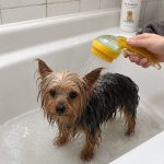 Yorkie Bathing Brush