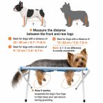 Yorkie Grooming & Bath Stand - Image 2