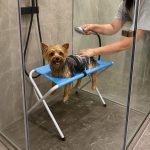 Yorkie Grooming & Bath Stand
