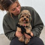 Yorkie Soldier Costume - Image 2