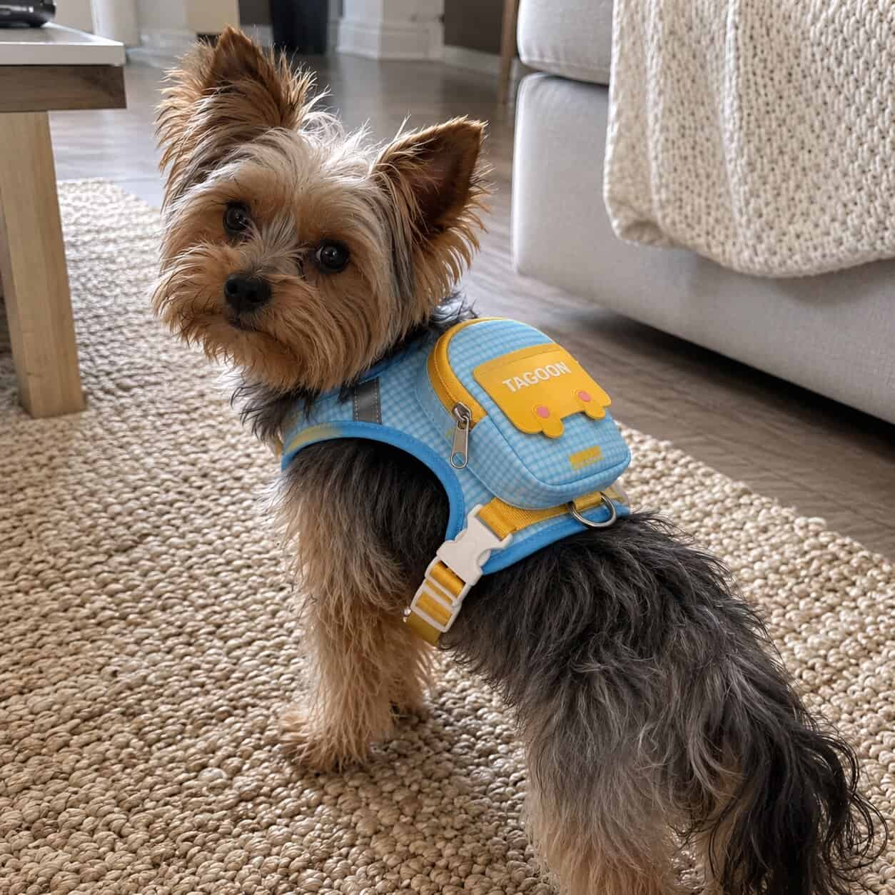 Yorkie School Backpack Yorkie School Backpack - Image 1