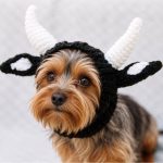 Cow Yorkie Halloween Hat