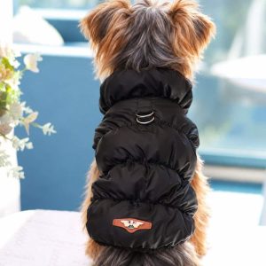 Yorkshire Terrier wearing a black winter puffer jacket