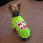 Cotton T-Shirt for Yorkies