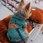 Denim Dream Yorkie Jacket