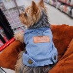 Denim Dream Yorkie Jacket