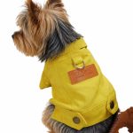 Denim Dream Yorkie Jacket