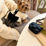 Elegant Yorkie Dress
